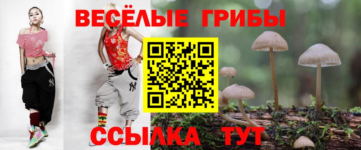 Галлюциногенные грибы MAGIC MUSHROOMS Юрга